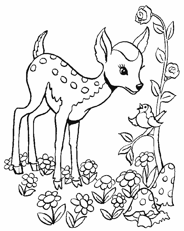 Dibujo para colorear: Coneja (Animales) #1127 - Dibujos para Colorear e Imprimir Gratis