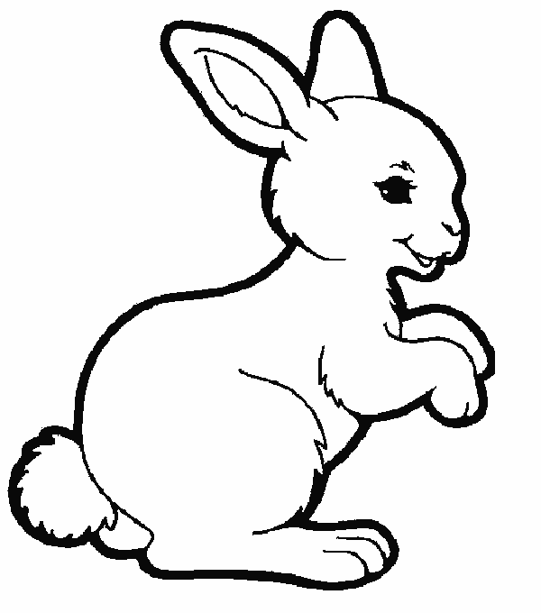 Dibujo para colorear: Conejo (Animales) #9505 - Dibujos para Colorear e Imprimir Gratis