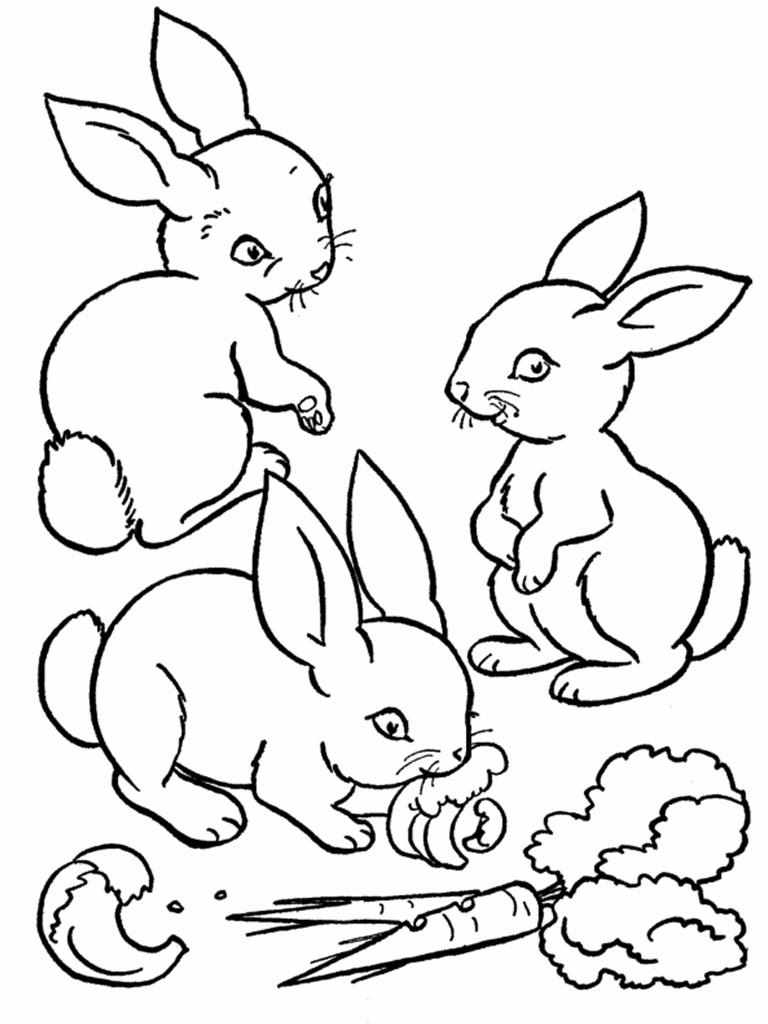 Dibujo para colorear: Conejo (Animales) #9522 - Dibujos para Colorear e Imprimir Gratis