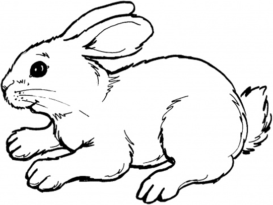 Dibujo para colorear: Conejo (Animales) #9526 - Dibujos para Colorear e Imprimir Gratis