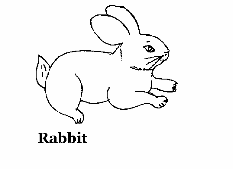 Dibujo para colorear: Conejo (Animales) #9587 - Dibujos para Colorear e Imprimir Gratis