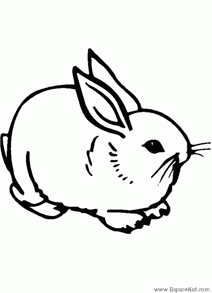 Dibujo para colorear: Conejo (Animales) #9610 - Dibujos para Colorear e Imprimir Gratis