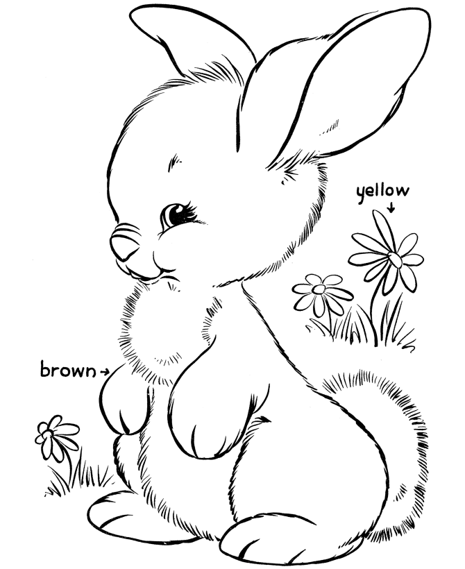 Dibujo para colorear: Conejo (Animales) #9621 - Dibujos para Colorear e Imprimir Gratis