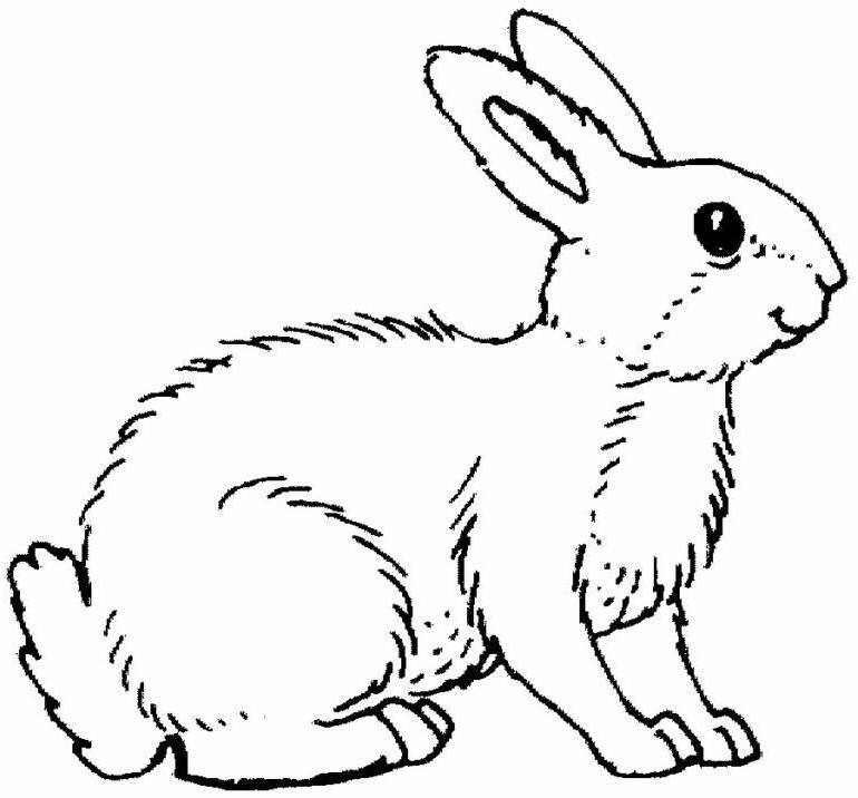 Dibujo para colorear: Conejo (Animales) #9689 - Dibujos para Colorear e Imprimir Gratis