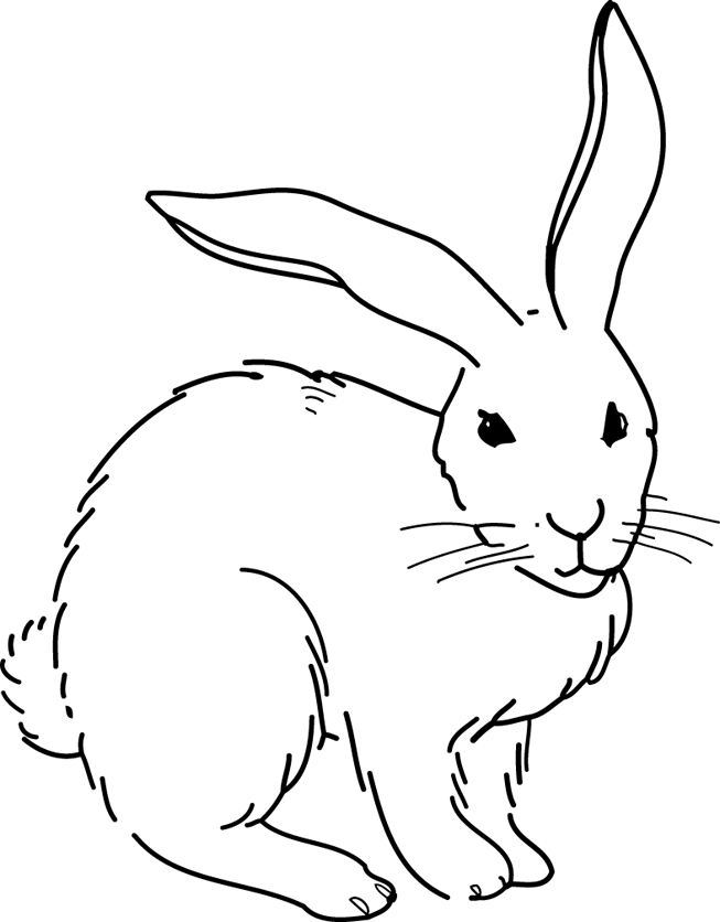 Dibujo para colorear: Conejo (Animales) #9694 - Dibujos para Colorear e Imprimir Gratis