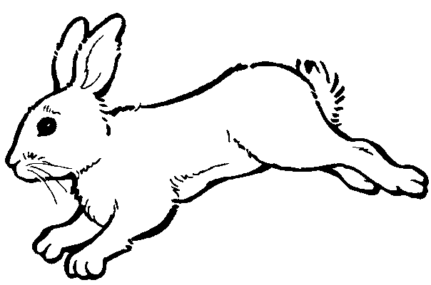 Dibujo para colorear: Conejo (Animales) #9702 - Dibujos para Colorear e Imprimir Gratis