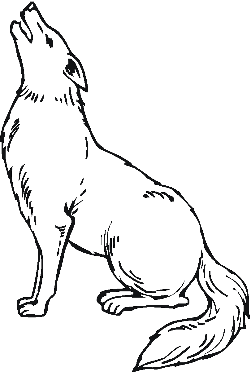 Dibujo para colorear: Coyote (Animales) #4492 - Dibujos para Colorear e Imprimir Gratis