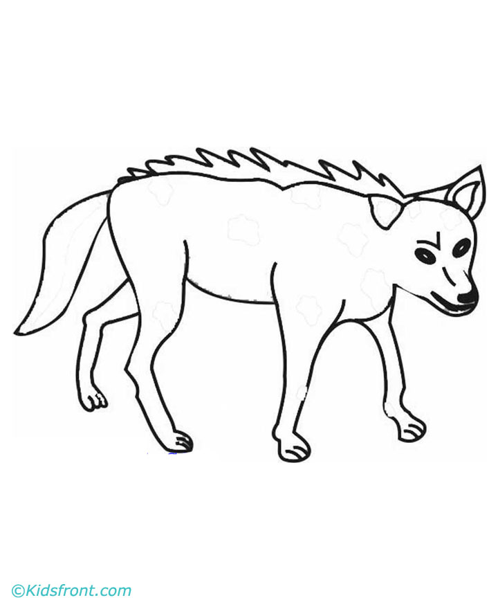 Dibujo para colorear: Coyote (Animales) #4513 - Dibujos para Colorear e Imprimir Gratis