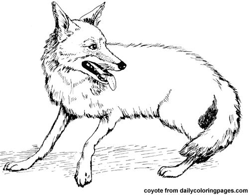Dibujo para colorear: Coyote (Animales) #4526 - Dibujos para Colorear e Imprimir Gratis