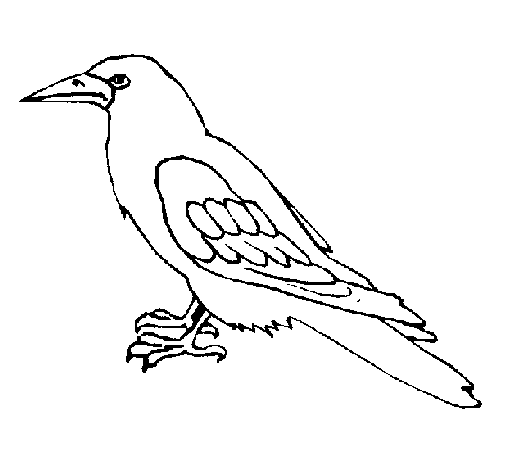 Dibujo para colorear: Cuervo (Animales) #4283 - Dibujos para Colorear e Imprimir Gratis