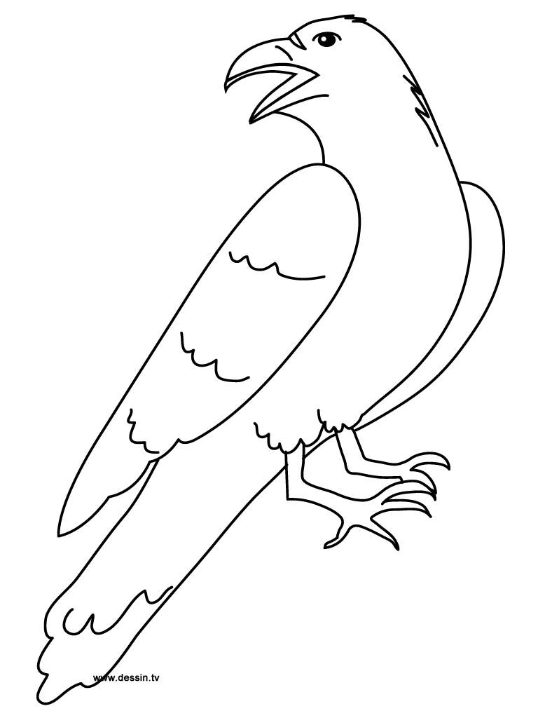 Dibujo para colorear: Cuervo (Animales) #4289 - Dibujos para Colorear e Imprimir Gratis