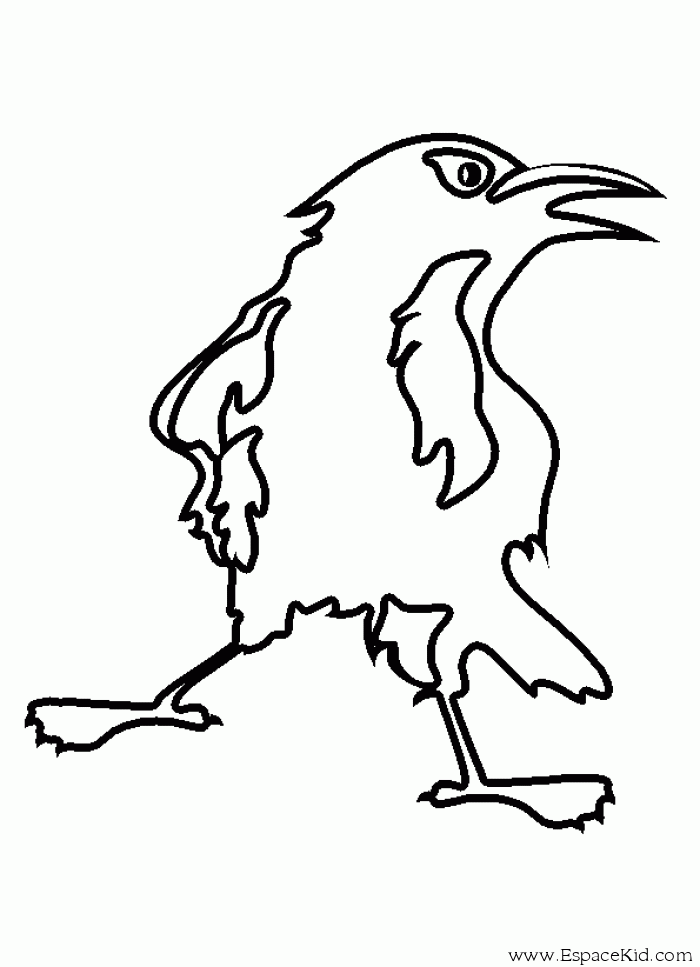 Dibujo para colorear: Cuervo (Animales) #4291 - Dibujos para Colorear e Imprimir Gratis