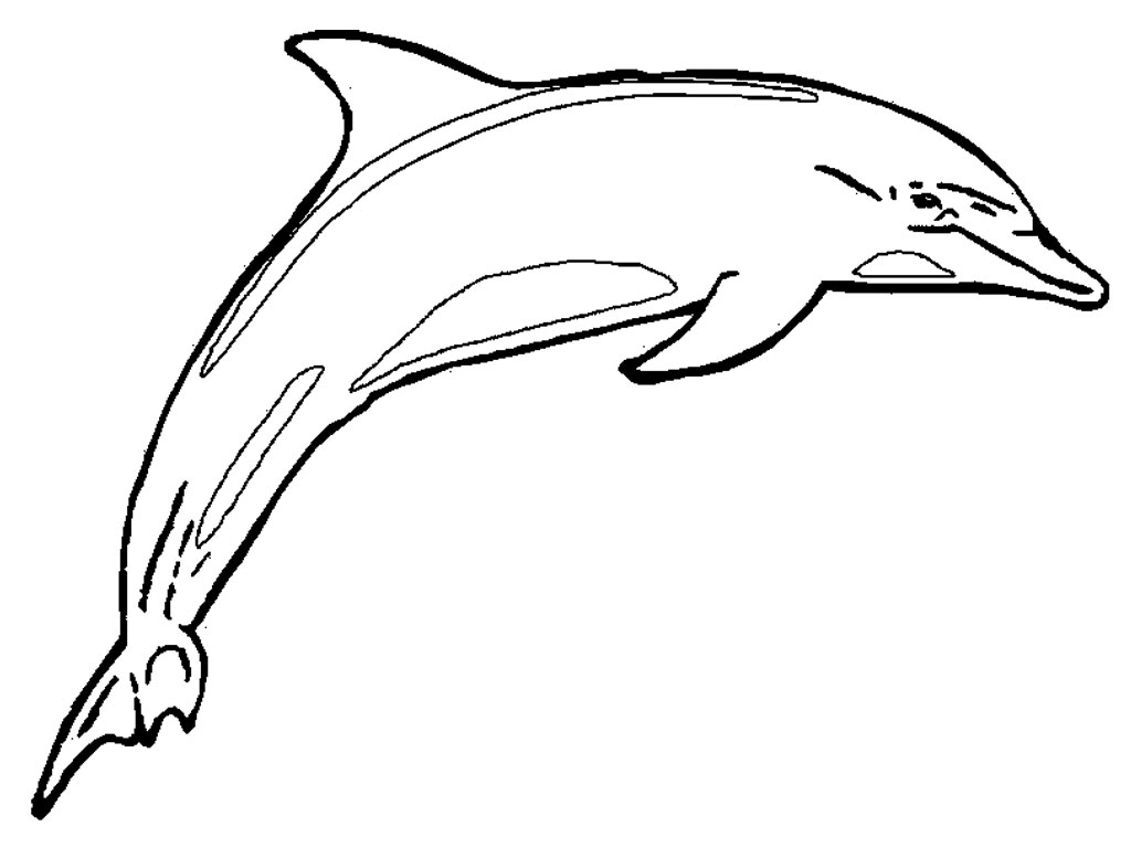 Dibujo para colorear: Delfín (Animales) #5099 - Dibujos para Colorear e Imprimir Gratis