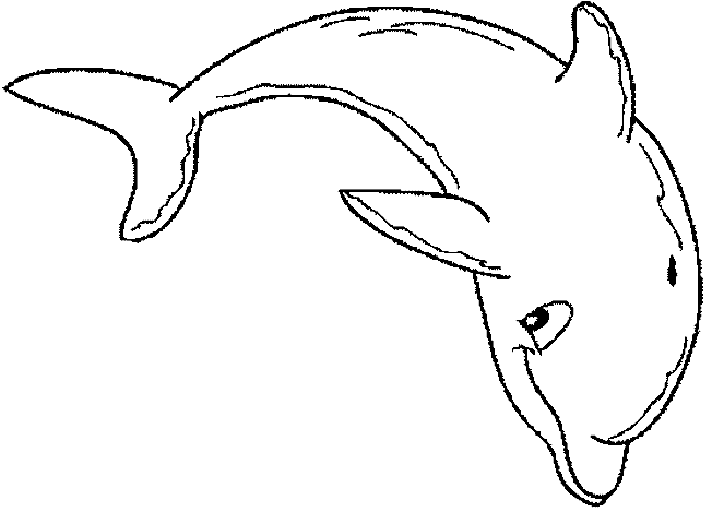 Dibujo para colorear: Delfín (Animales) #5112 - Dibujos para Colorear e Imprimir Gratis