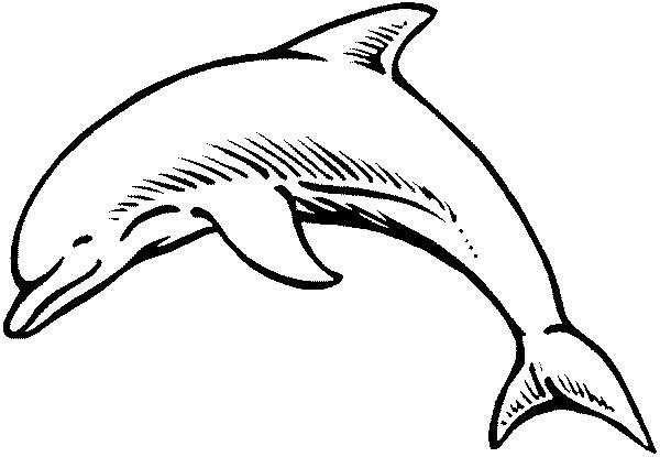 Dibujo para colorear: Delfín (Animales) #5120 - Dibujos para Colorear e Imprimir Gratis