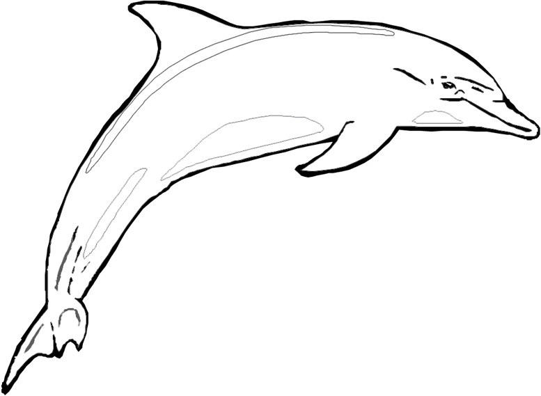Dibujo para colorear: Delfín (Animales) #5159 - Dibujos para Colorear e Imprimir Gratis