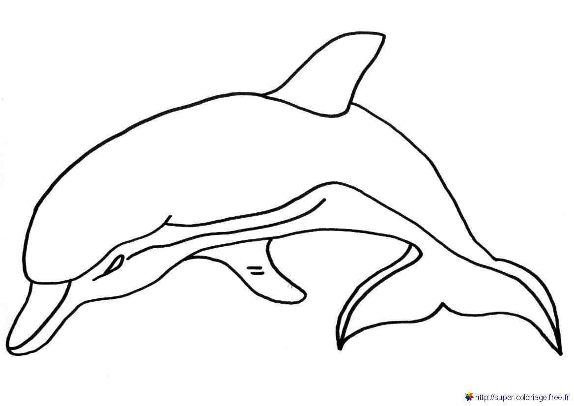 Dibujo para colorear: Delfín (Animales) #5186 - Dibujos para Colorear e Imprimir Gratis