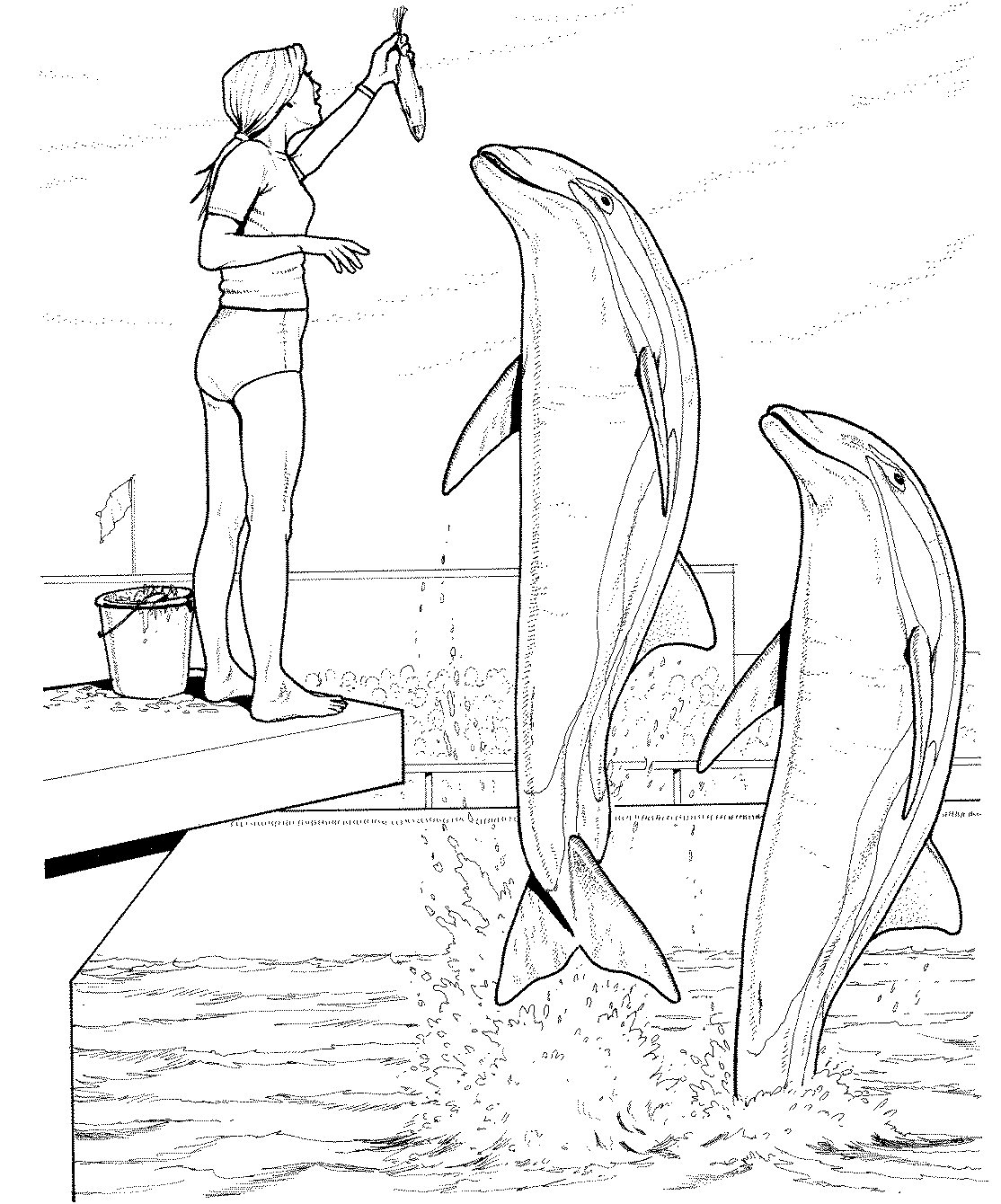 Dibujo para colorear: Delfín (Animales) #5191 - Dibujos para Colorear e Imprimir Gratis