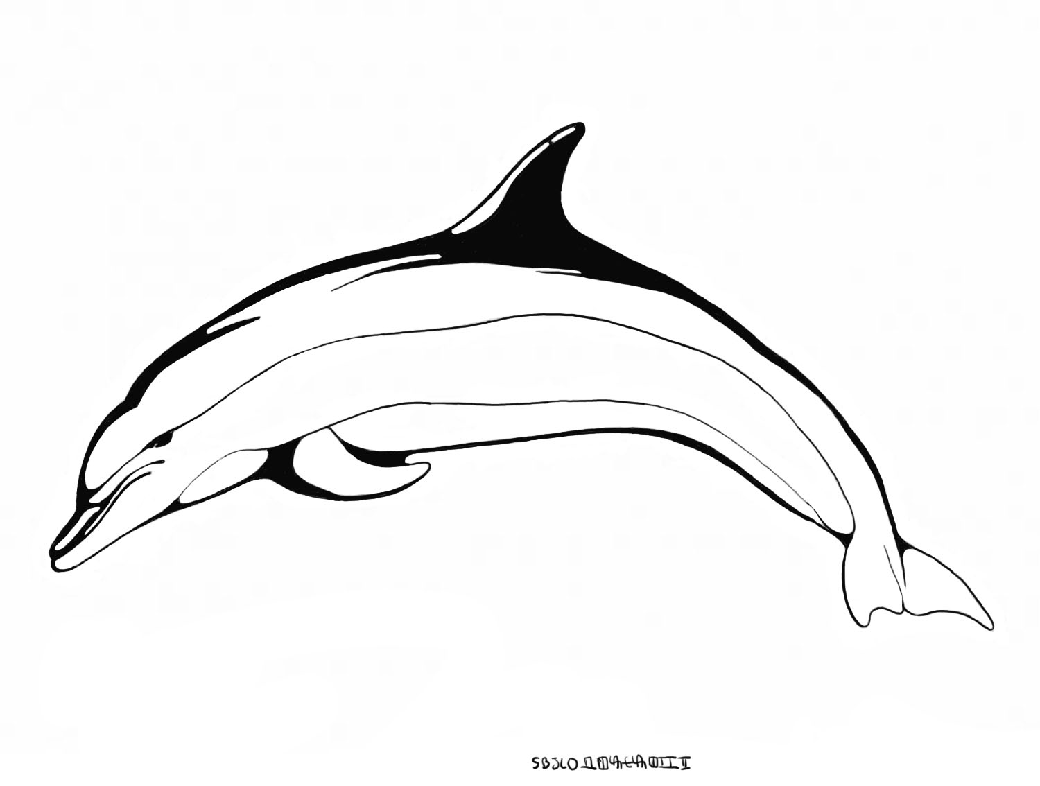 Dibujo para colorear: Delfín (Animales) #5220 - Dibujos para Colorear e Imprimir Gratis