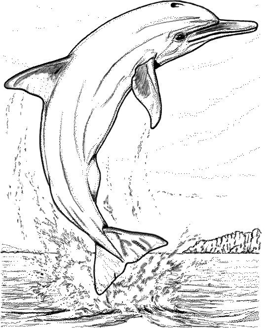 Dibujo para colorear: Delfín (Animales) #5247 - Dibujos para Colorear e Imprimir Gratis