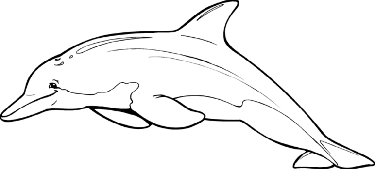 Dibujo para colorear: Delfín (Animales) #5253 - Dibujos para Colorear e Imprimir Gratis