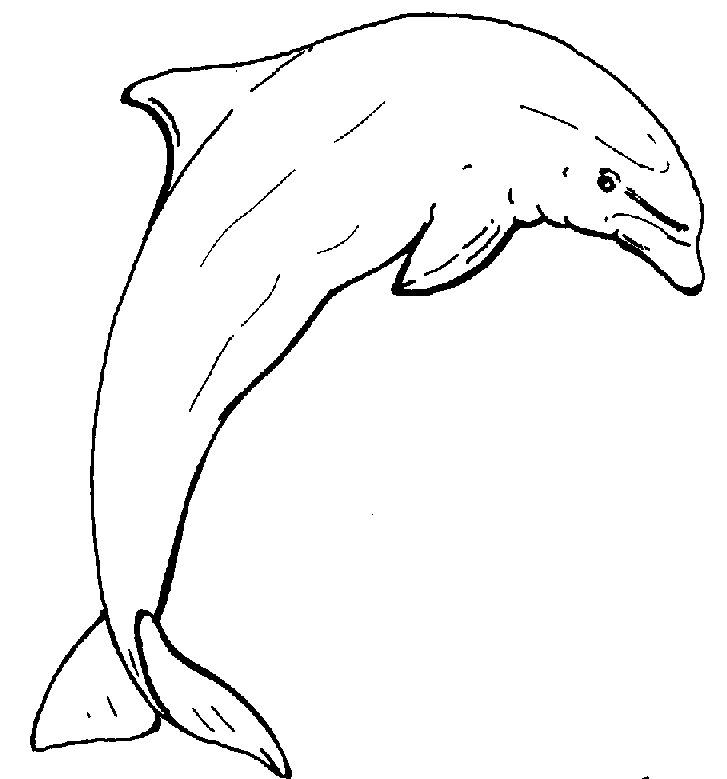Dibujo para colorear: Delfín (Animales) #5272 - Dibujos para Colorear e Imprimir Gratis