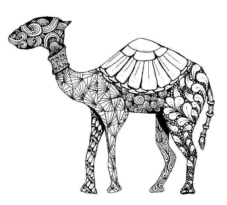 Dibujo para colorear: Dromedario (Animales) #6064 - Dibujos para Colorear e Imprimir Gratis
