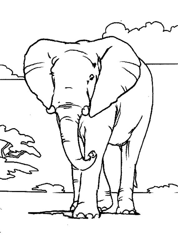 Dibujo para colorear: Elefante (Animales) #6301 - Dibujos para Colorear e Imprimir Gratis