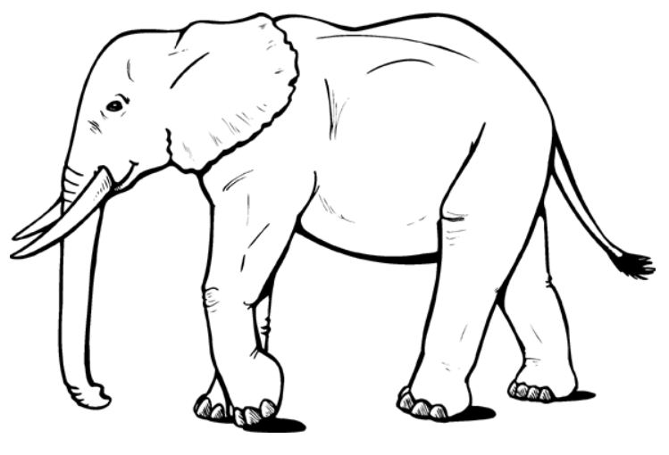 Dibujo para colorear: Elefante (Animales) #6310 - Dibujos para Colorear e Imprimir Gratis