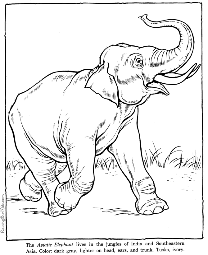 Dibujo para colorear: Elefante (Animales) #6418 - Dibujos para Colorear e Imprimir Gratis