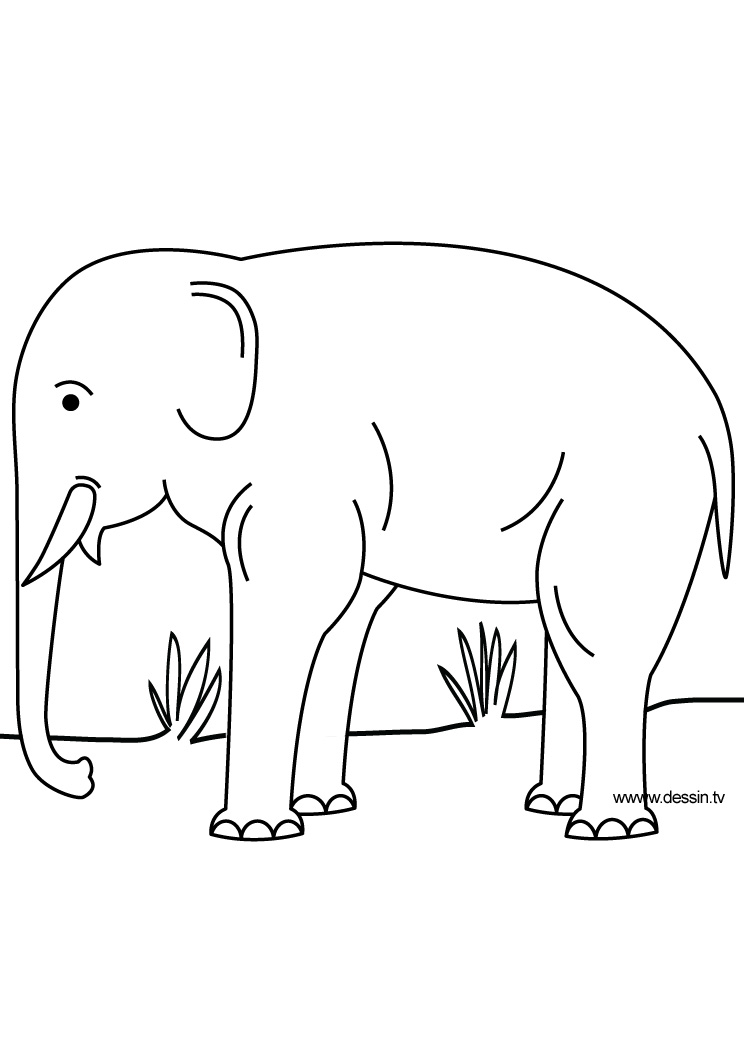 Dibujo para colorear: Elefante (Animales) #6440 - Dibujos para Colorear e Imprimir Gratis