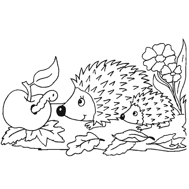 Dibujo para colorear: Erizo (Animales) #8211 - Dibujos para Colorear e Imprimir Gratis