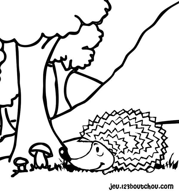 Dibujo para colorear: Erizo (Animales) #8225 - Dibujos para Colorear e Imprimir Gratis