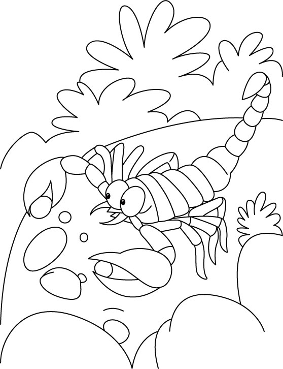 Dibujo para colorear: Escorpión (Animales) #14593 - Dibujos para Colorear e Imprimir Gratis