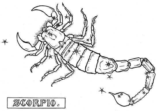Dibujo para colorear: Escorpión (Animales) #14596 - Dibujos para Colorear e Imprimir Gratis