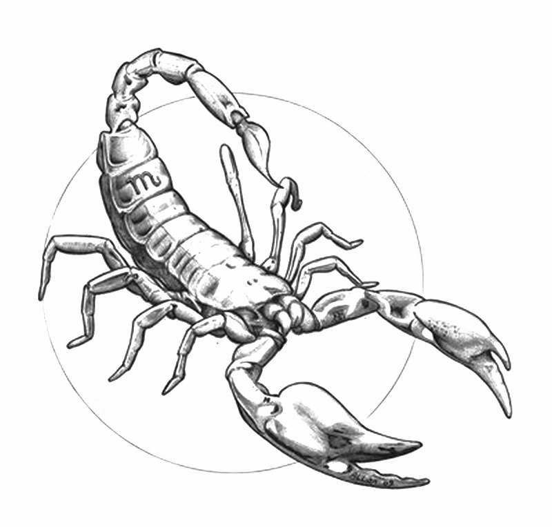 Dibujo para colorear: Escorpión (Animales) #14633 - Dibujos para Colorear e Imprimir Gratis