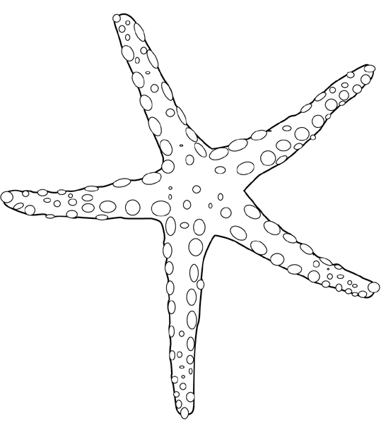 Dibujo para colorear: Estrella de mar (Animales) #6703 - Dibujos para Colorear e Imprimir Gratis