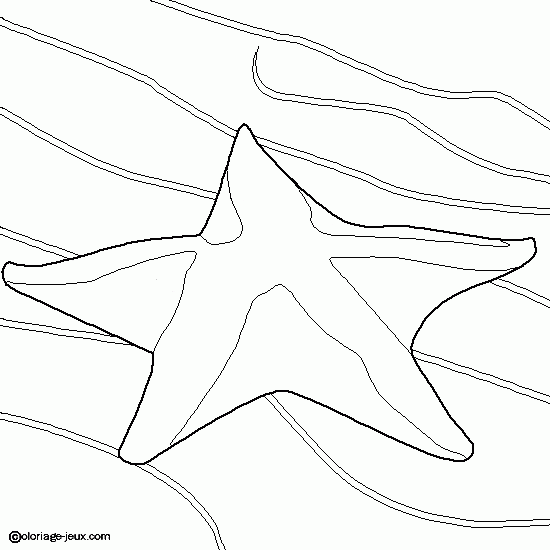 Dibujo para colorear: Estrella de mar (Animales) #6715 - Dibujos para Colorear e Imprimir Gratis