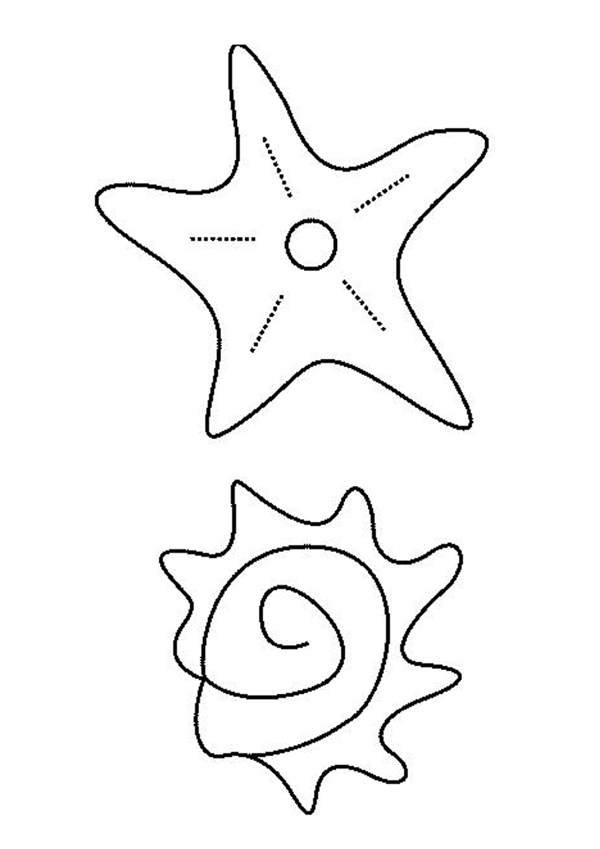 Dibujo para colorear: Estrella de mar (Animales) #6723 - Dibujos para Colorear e Imprimir Gratis