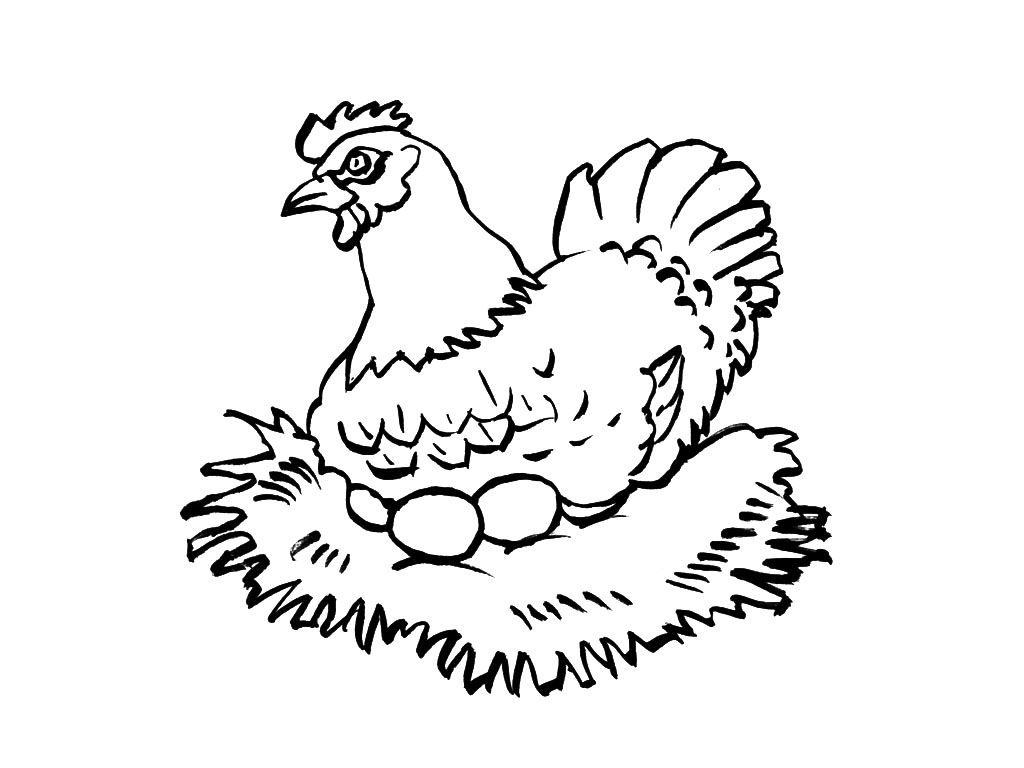 Dibujo para colorear: Gallina (Animales) #17532 - Dibujos para Colorear e Imprimir Gratis