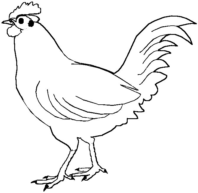Dibujo para colorear: Gallo (Animales) #4089 - Dibujos para Colorear e Imprimir Gratis