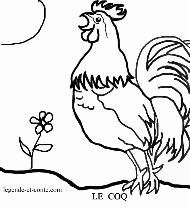 Dibujo para colorear: Gallo (Animales) #4091 - Dibujos para Colorear e Imprimir Gratis