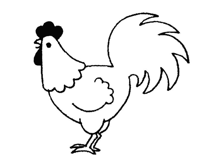 Dibujo para colorear: Gallo (Animales) #4093 - Dibujos para Colorear e Imprimir Gratis