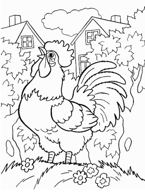 Dibujo para colorear: Gallo (Animales) #4101 - Dibujos para Colorear e Imprimir Gratis