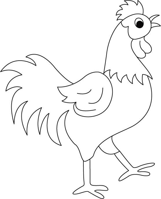 Dibujo para colorear: Gallo (Animales) #4108 - Dibujos para Colorear e Imprimir Gratis