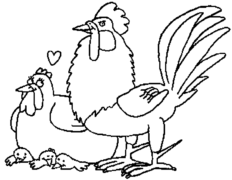 Dibujo para colorear: Gallo (Animales) #4110 - Dibujos para Colorear e Imprimir Gratis