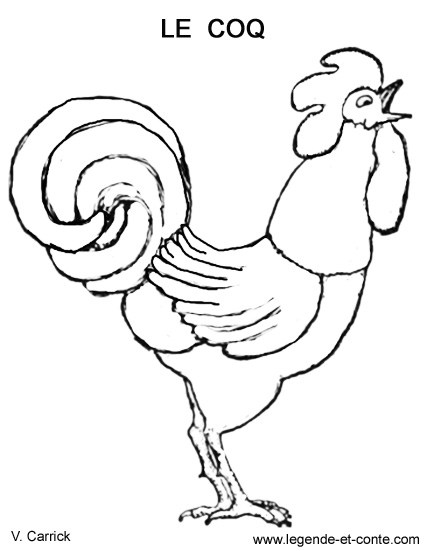 Dibujo para colorear: Gallo (Animales) #4116 - Dibujos para Colorear e Imprimir Gratis