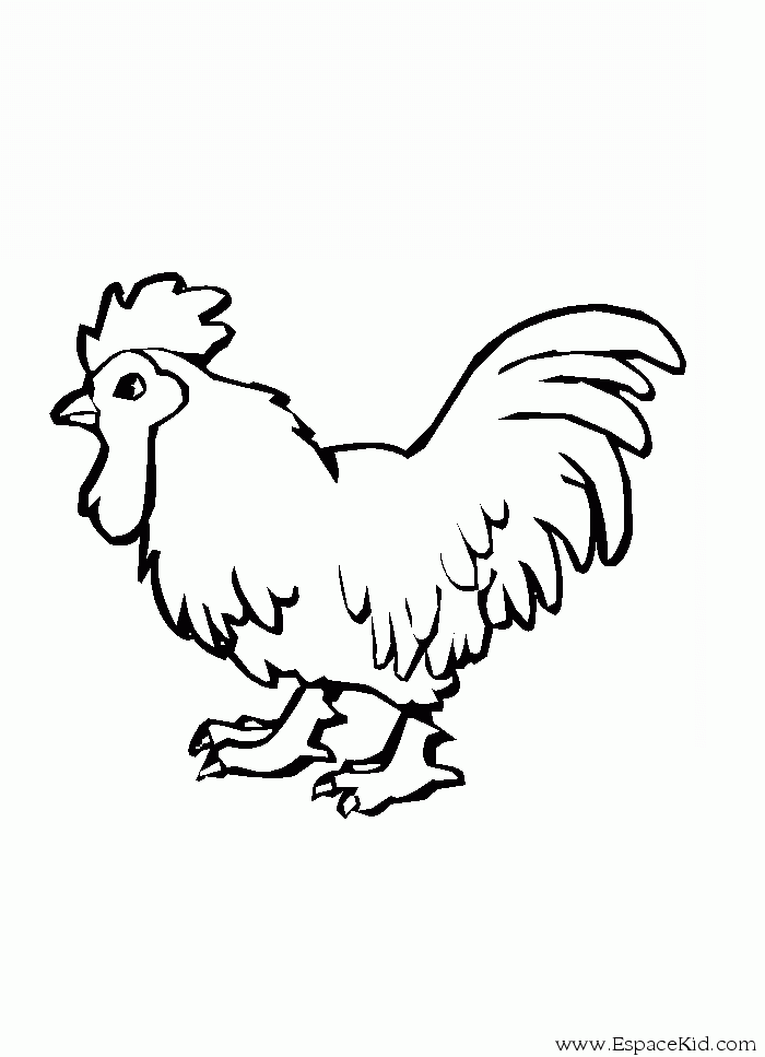 Dibujo para colorear: Gallo (Animales) #4124 - Dibujos para Colorear e Imprimir Gratis