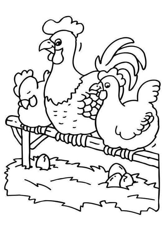 Dibujo para colorear: Gallo (Animales) #4153 - Dibujos para Colorear e Imprimir Gratis
