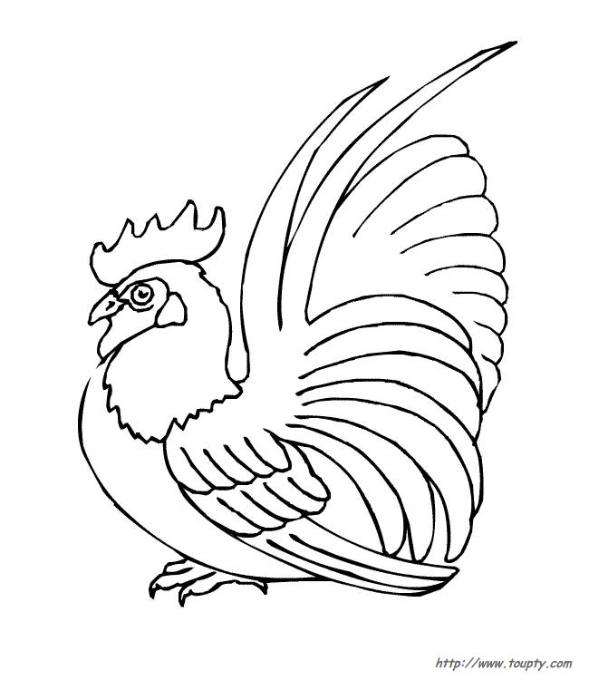 Dibujo para colorear: Gallo (Animales) #4159 - Dibujos para Colorear e Imprimir Gratis